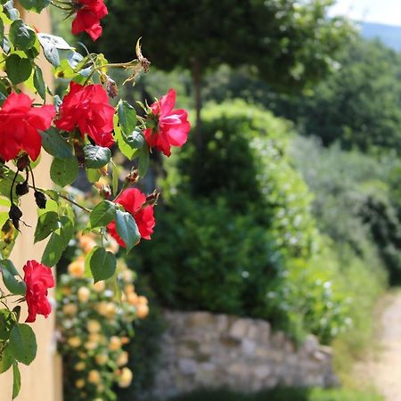 Bed & Breakfast Casa Lisetta Valtopina ภายนอก รูปภาพ