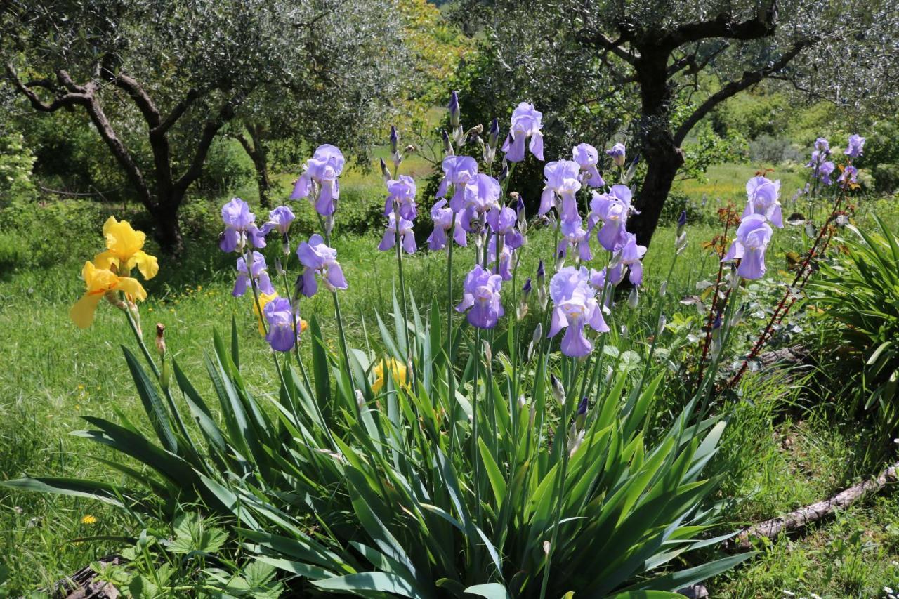 Bed & Breakfast Casa Lisetta Valtopina ภายนอก รูปภาพ