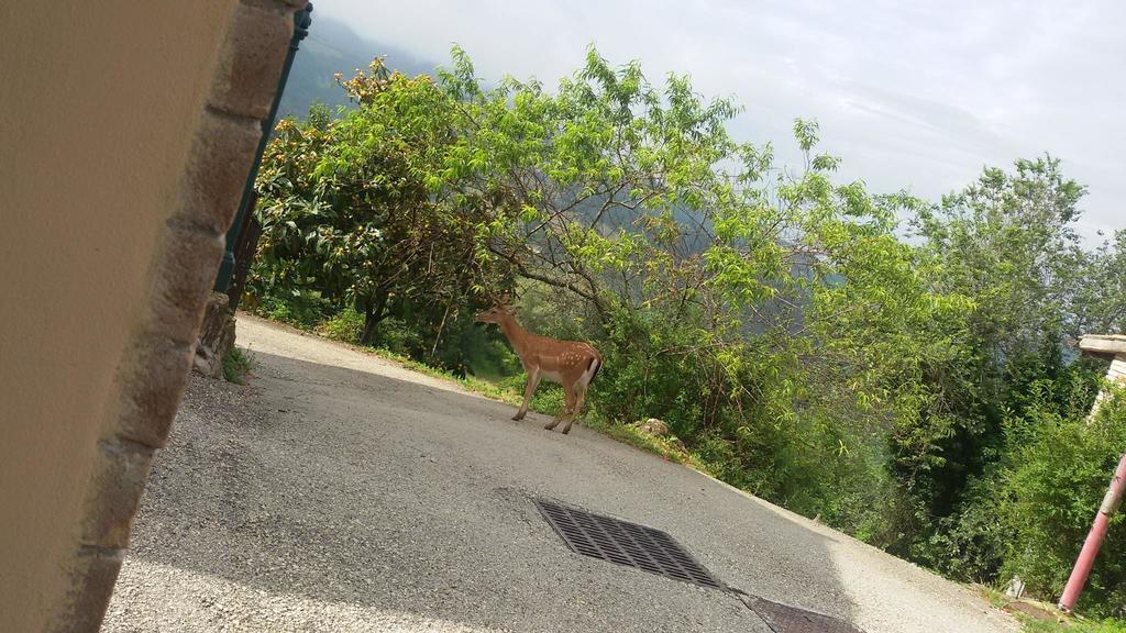 Bed & Breakfast Casa Lisetta Valtopina ภายนอก รูปภาพ