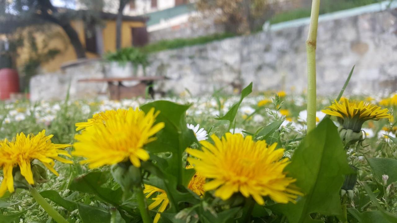 Bed & Breakfast Casa Lisetta Valtopina ภายนอก รูปภาพ