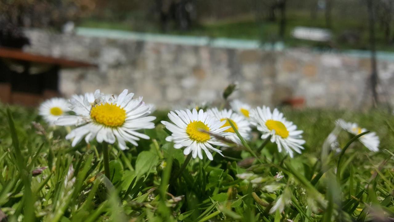Bed & Breakfast Casa Lisetta Valtopina ภายนอก รูปภาพ