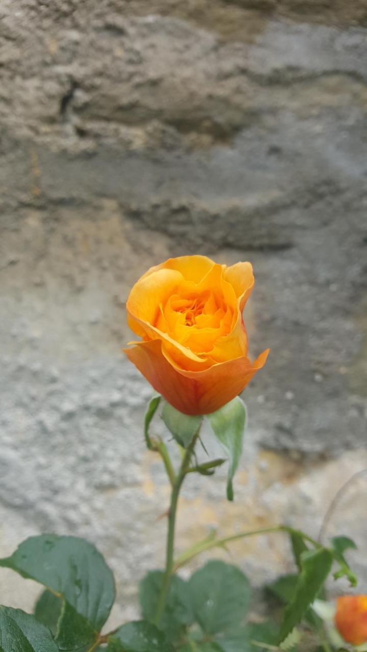 Bed & Breakfast Casa Lisetta Valtopina ภายนอก รูปภาพ