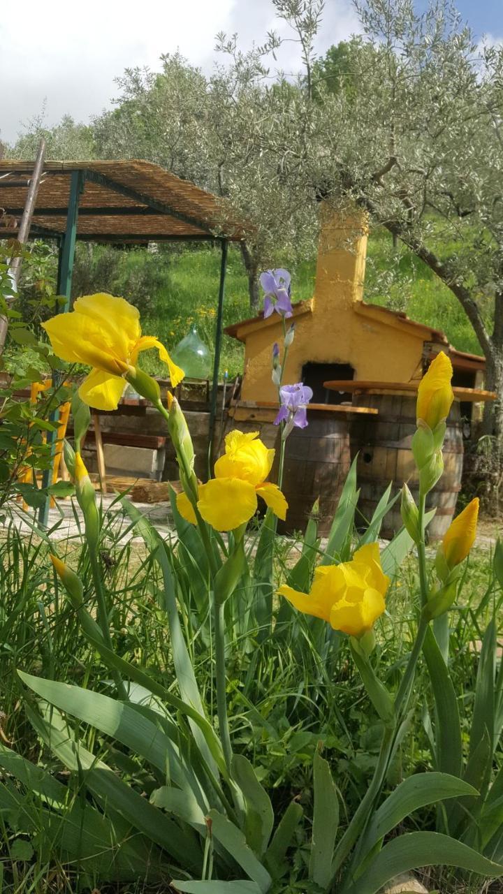 Bed & Breakfast Casa Lisetta Valtopina ภายนอก รูปภาพ