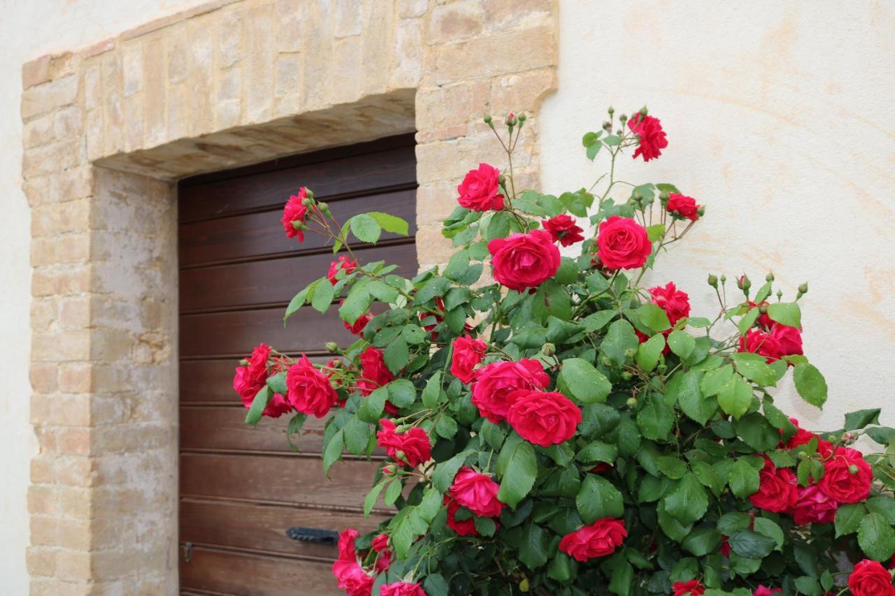 Bed & Breakfast Casa Lisetta Valtopina ภายนอก รูปภาพ