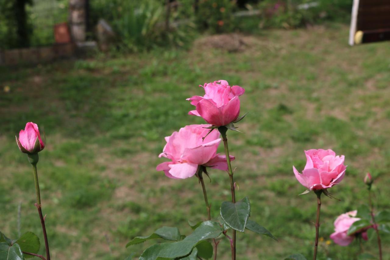 Bed & Breakfast Casa Lisetta Valtopina ภายนอก รูปภาพ