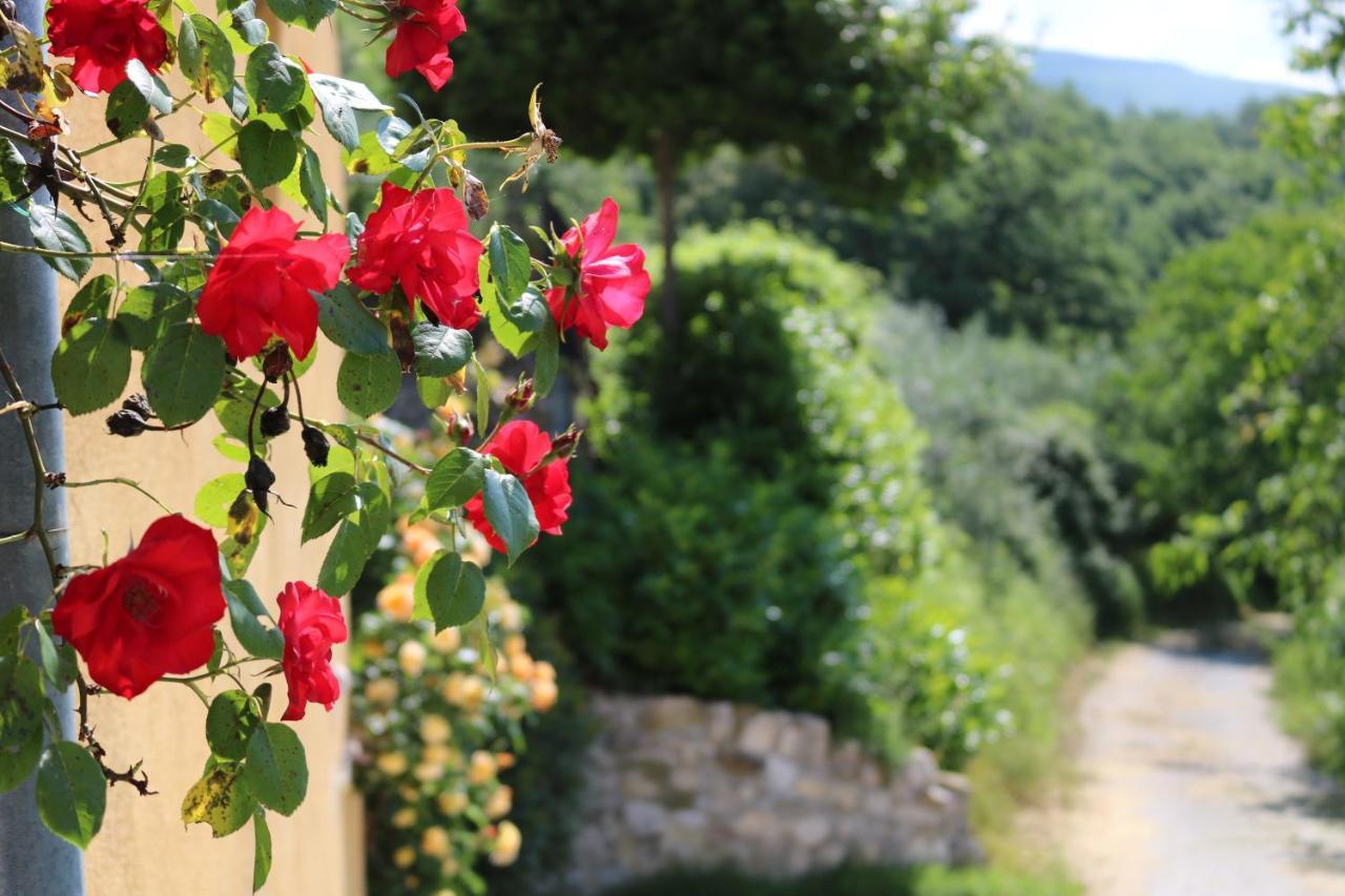 Bed & Breakfast Casa Lisetta Valtopina ภายนอก รูปภาพ